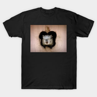 Mr. Squirrel is in the house T-Shirt